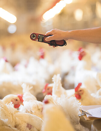 首页| 888集团电子游戏官方网站