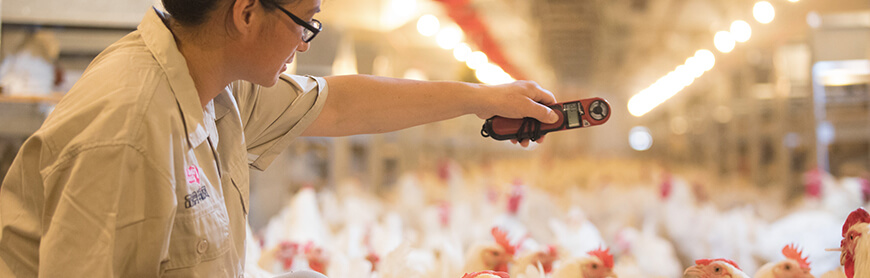 首页| 888集团电子游戏官方网站