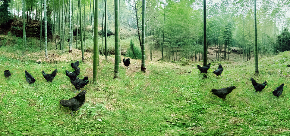 首页| 888集团电子游戏官方网站