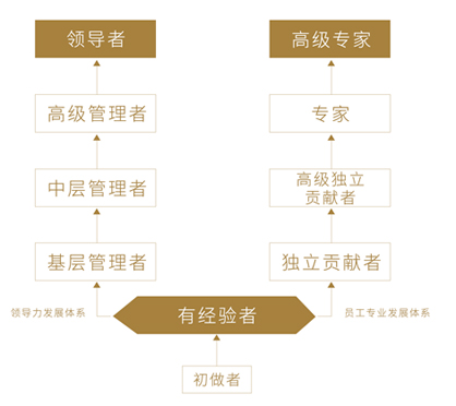 首页| 888集团电子游戏官方网站
