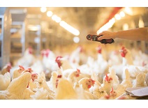 首页| 888集团电子游戏官方网站