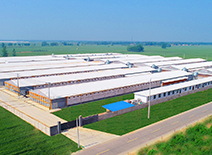 首页| 888集团电子游戏官方网站