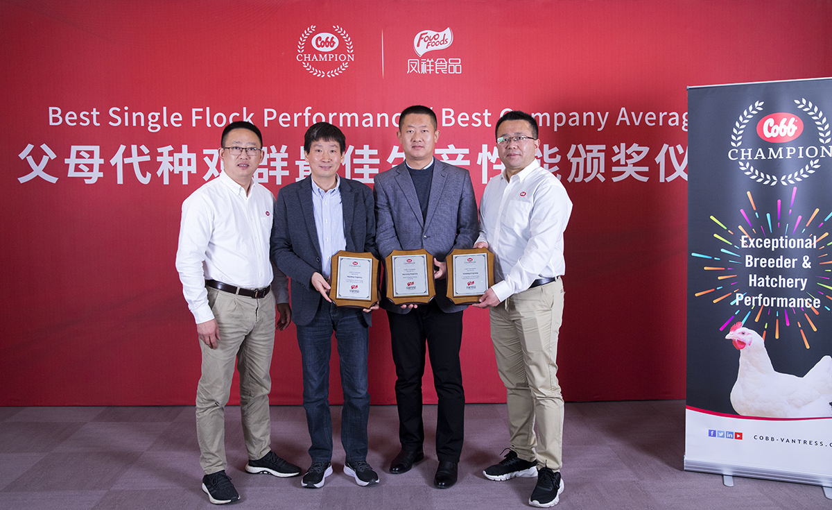 首页| 888集团电子游戏官方网站